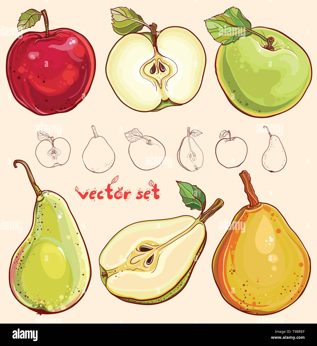 Helle vector Abbildung: frische Äpfel und Birnen. Einzelnen Apfel und Birne, Apfel und Birne, isoliert, farbige und strichzeichnung von Früchten. Stock Vektor