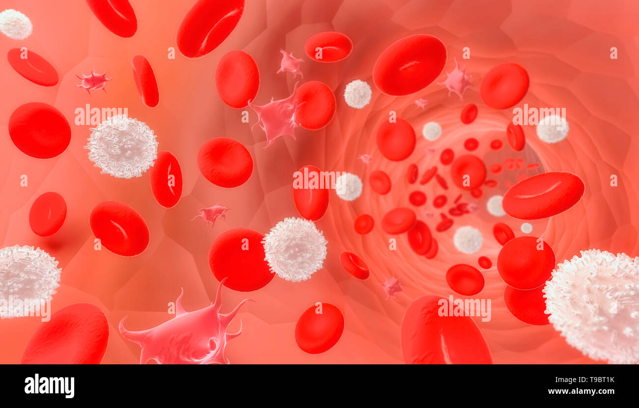 Die roten und weißen Blutzellen und die Blutplättchen durch ein Schiff oder eine Vene fließt. Medizinische und Mikrobiologie 3D Rendering Illustration. Stockfoto