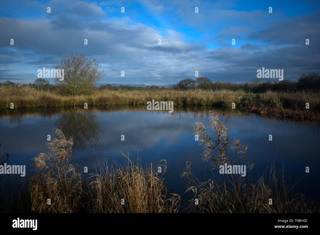 Blau Reflexionen auf dem Wasser Stockfoto