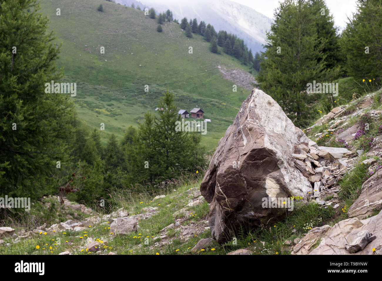 Französische Alpen im Sommer Stockfoto