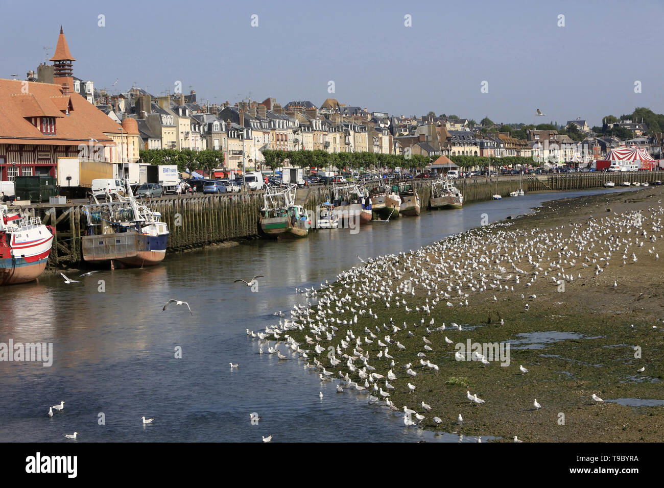 Port de pêcheurs à Marée Basse de Trouville-sur-Mer. Stockfoto