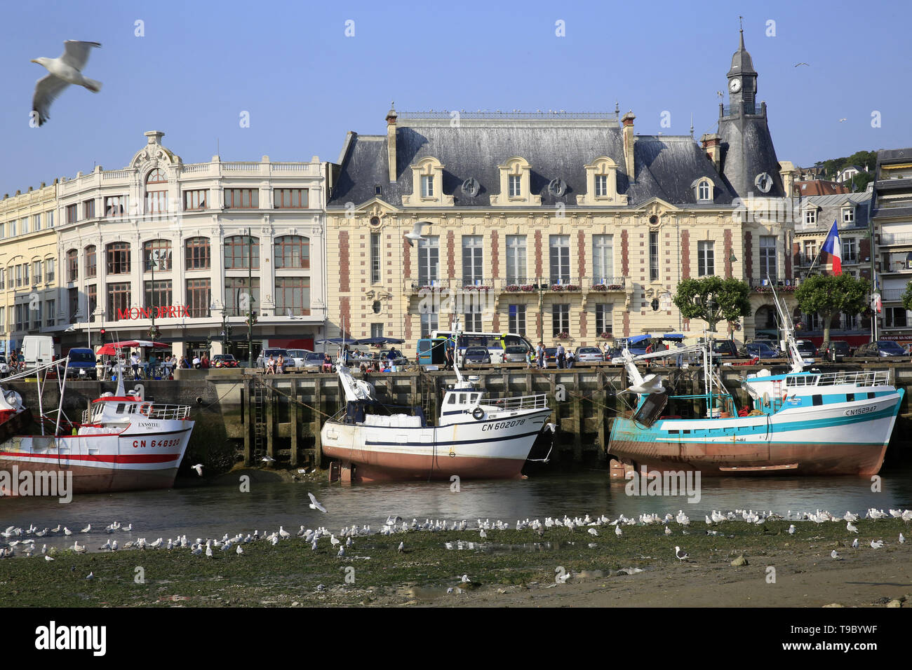 Port de pêcheurs à Marée Basse de Trouville-sur-Mer. Stockfoto