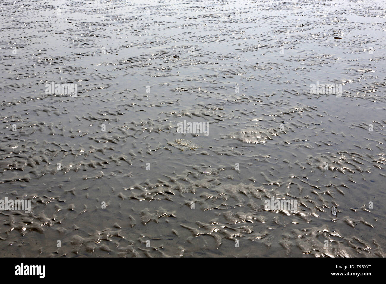 Traces de l'Eau sur le sable. Trouville-sur-Mer. Calvados. Frankreich. Stockfoto