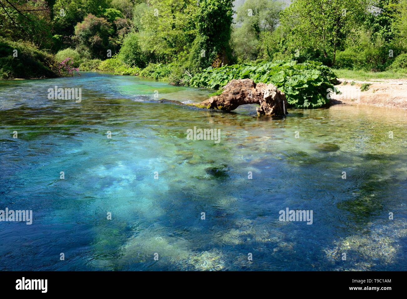 Die blauen Augen pool Karst Quellwasser Feder und natürliche Erscheinung Quelle der Bistrice Fluss Albanien Stockfoto