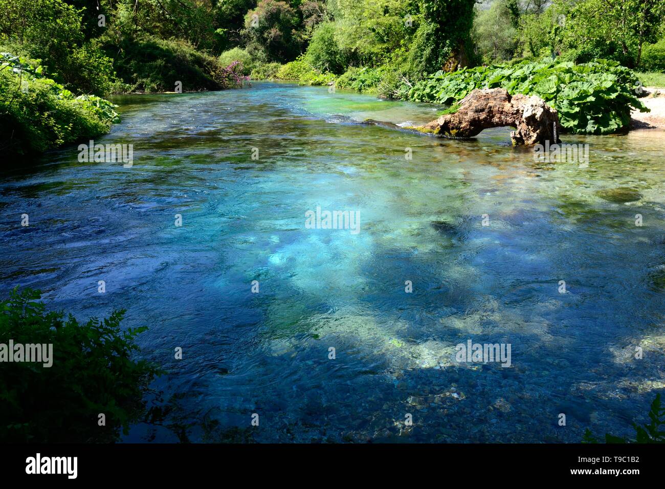 Die blauen Augen pool Karst Quellwasser Feder und natürliche Erscheinung Quelle der Bistrice Fluss Albanien Stockfoto