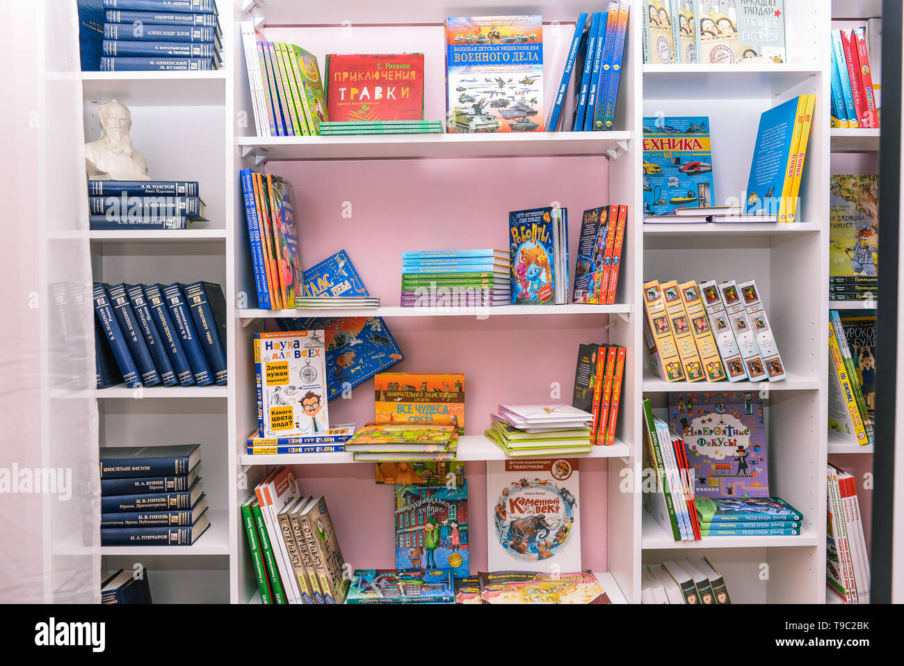 Bücher im Regal. Verschwommenes Bild von Bücherregalen. Schule Klasse mit Büchern. Bildungseinrichtung, Bibliothek, Buchhandlung. Bildung, Wissen Stockfoto