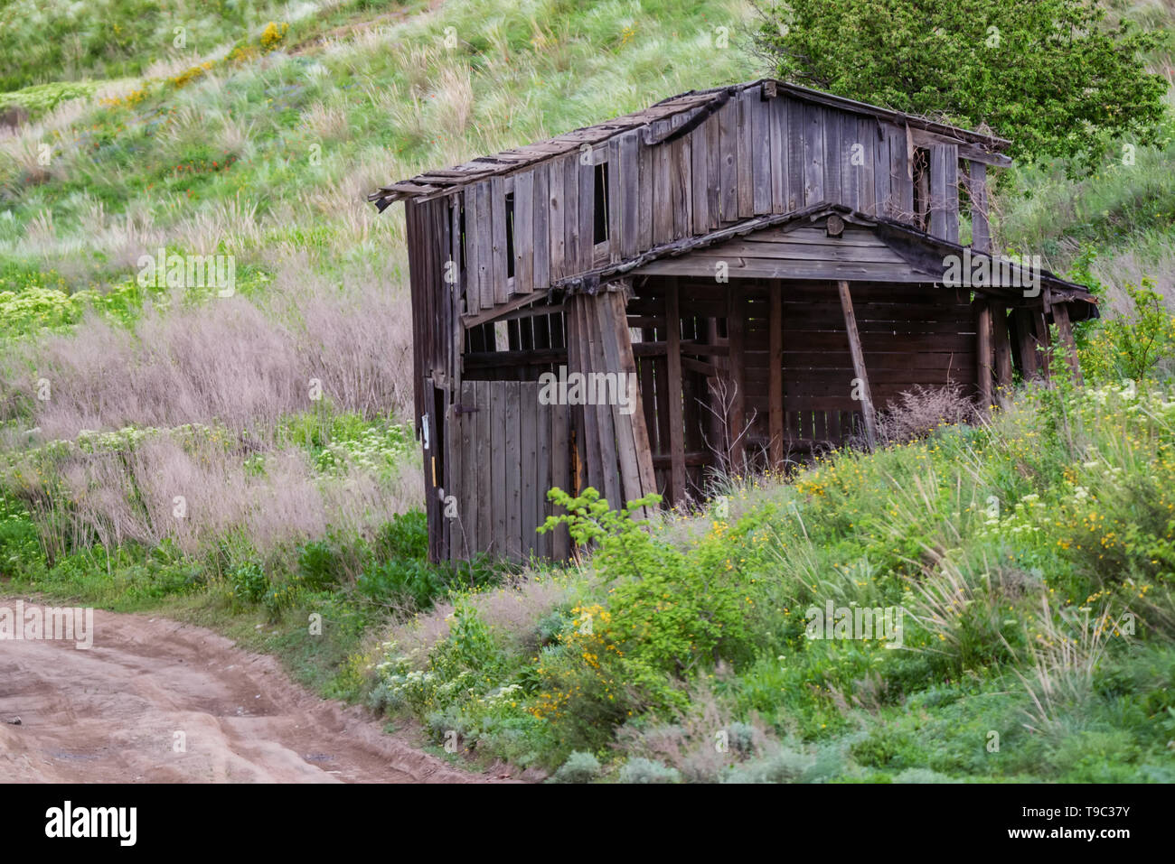 Alten, verlassenen Holz- ländliche Hütte auf dem Land Stockfoto