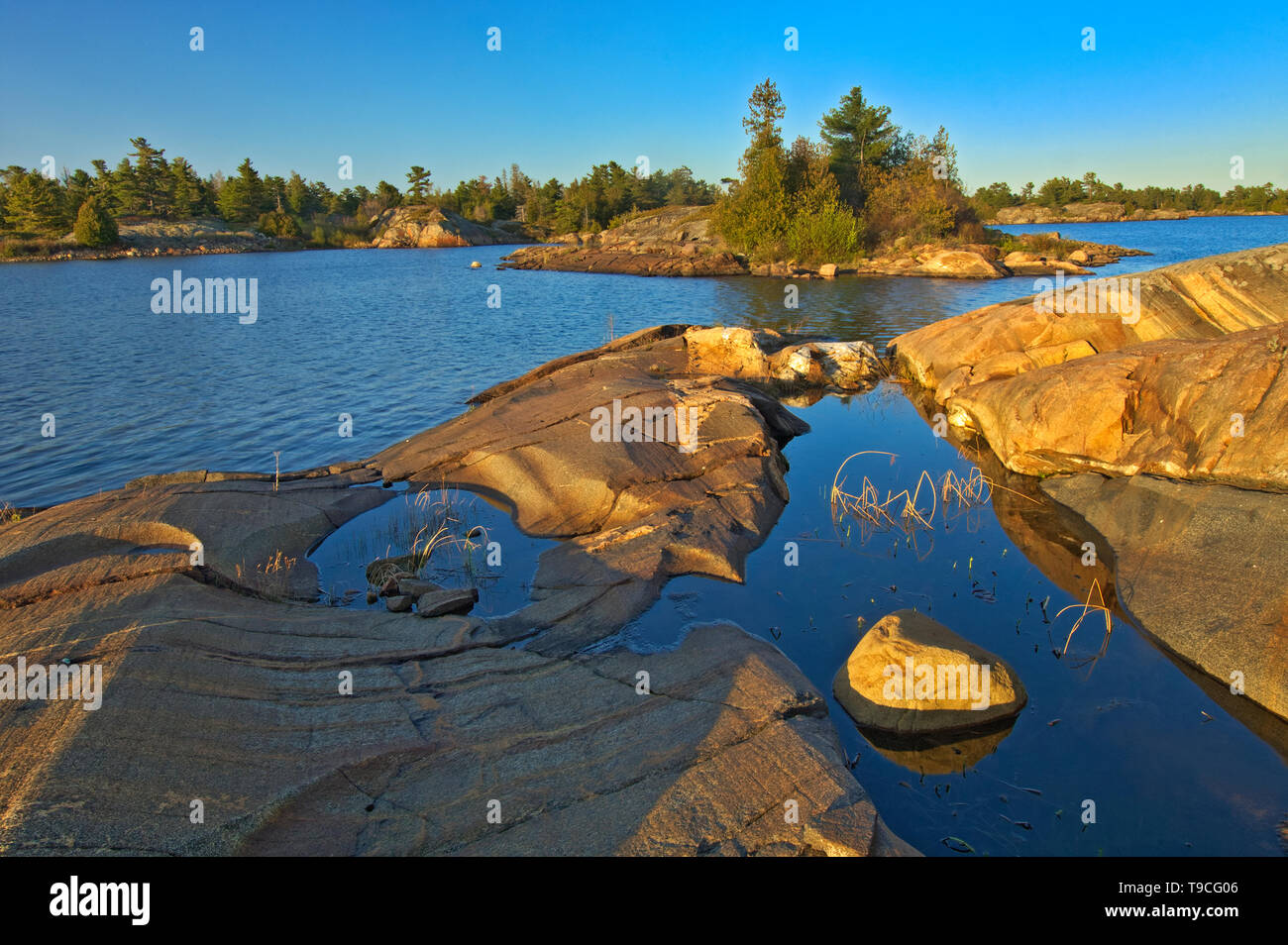 Wald und Präkambrischen Shield Rock entlang der Georgian Bay (Lake Huron) French River Provincial Park, Ontario, Kanada Stockfoto