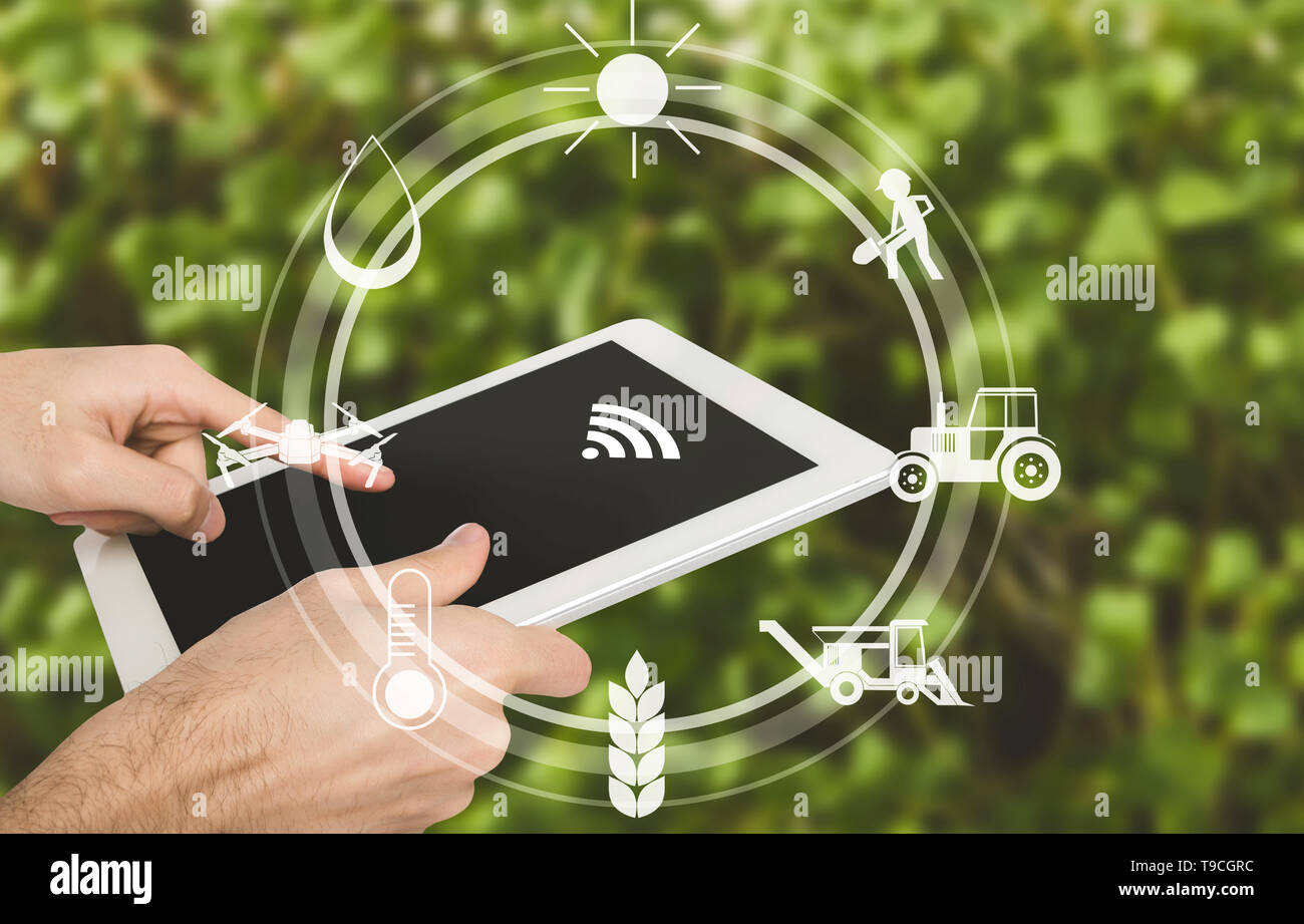 Smart Farming, Mann mit digitalen Tablette im Feld Stockfoto