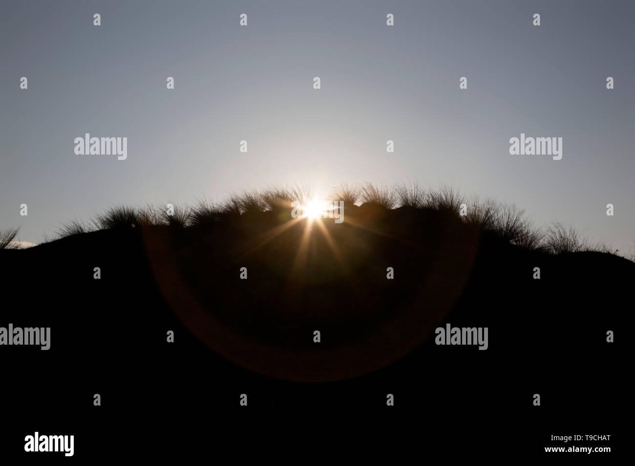 Unter der Morgen (oder Abend) Sky die sandigen Dünen silhouetted, eingesäumt durch ihre stacheligen Gras, die Sonne bricht sich hinter Ihnen. Stockfoto