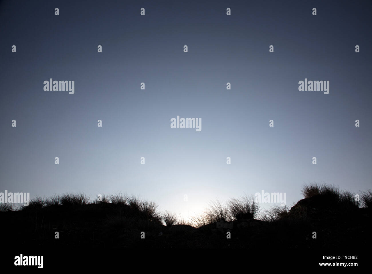 Unter der Morgen (oder Abend) Sky die sandigen Dünen silhouetted, eingesäumt durch ihre stacheligen Gras. Stockfoto