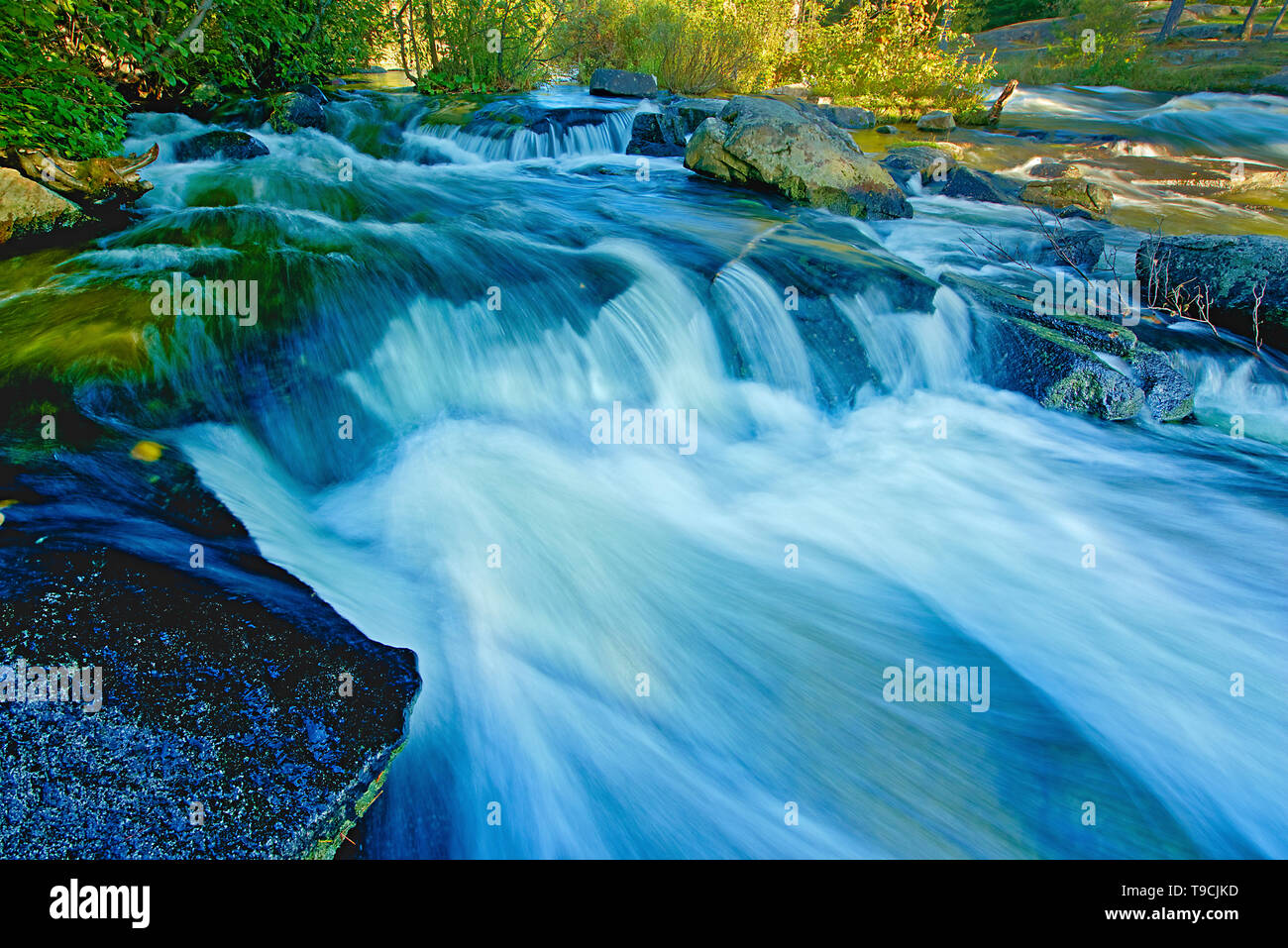 Reißender Fluss, hetzen, River Provincial Park, Ontario, Kanada Stockfoto