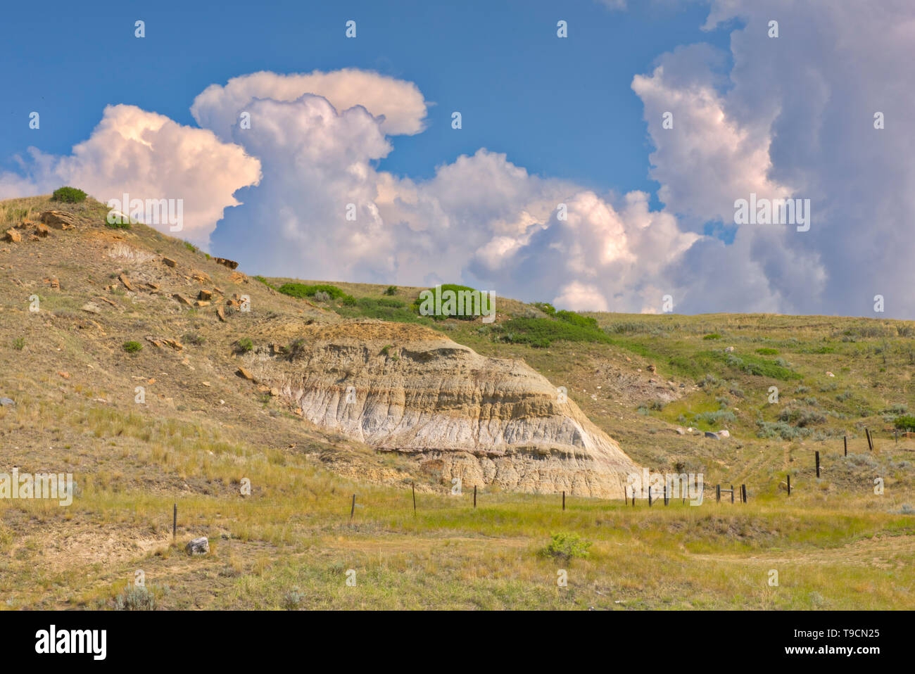 Badlands an einem klaren Tag mit Puffy cumulus Wolken in der Nähe der Kaiserin, Alberta, Kanada Stockfoto