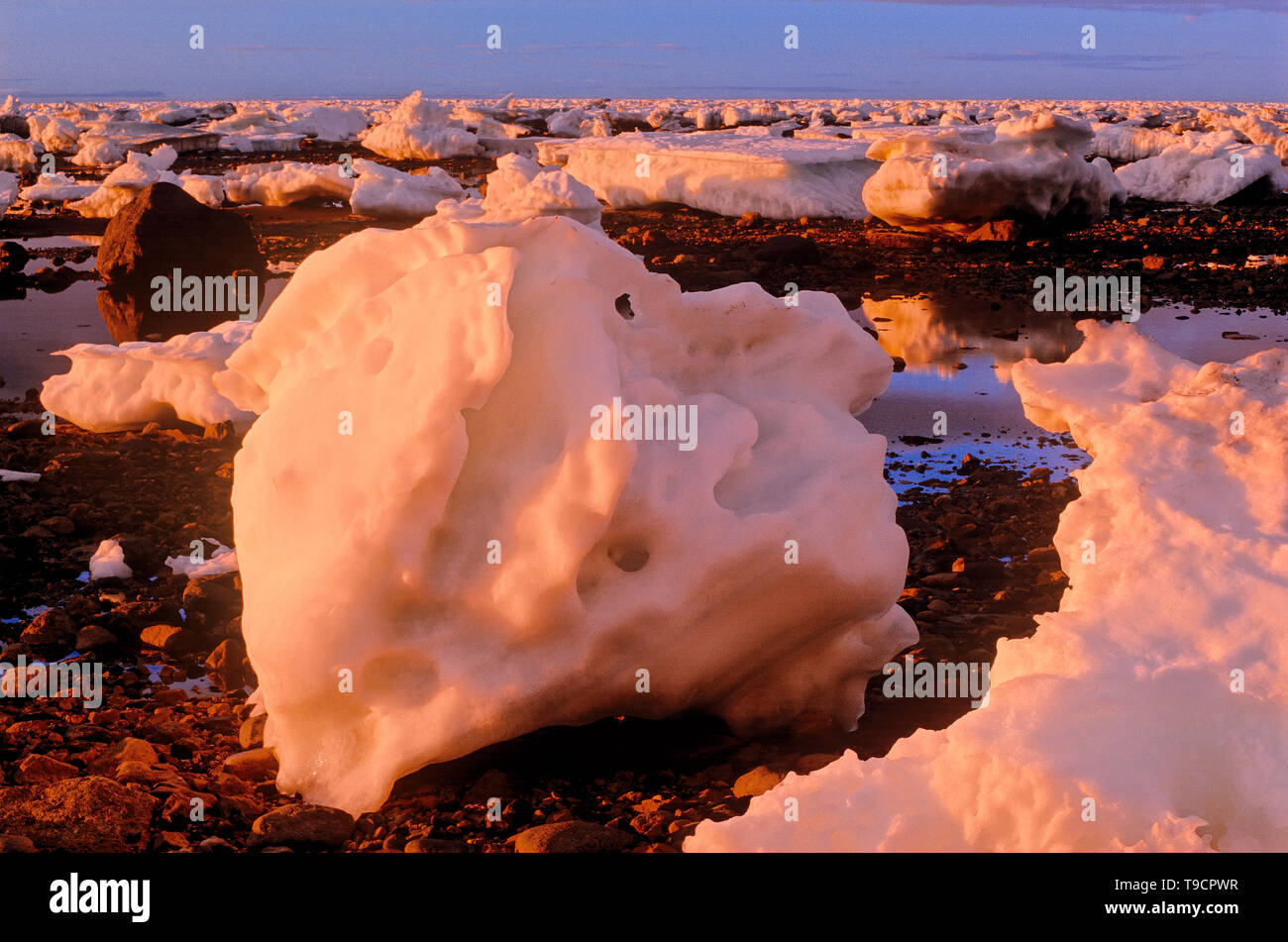 Eisbergen entlang der Küste der Hudson Bay Churchill, Manitoba, Kanada Stockfoto