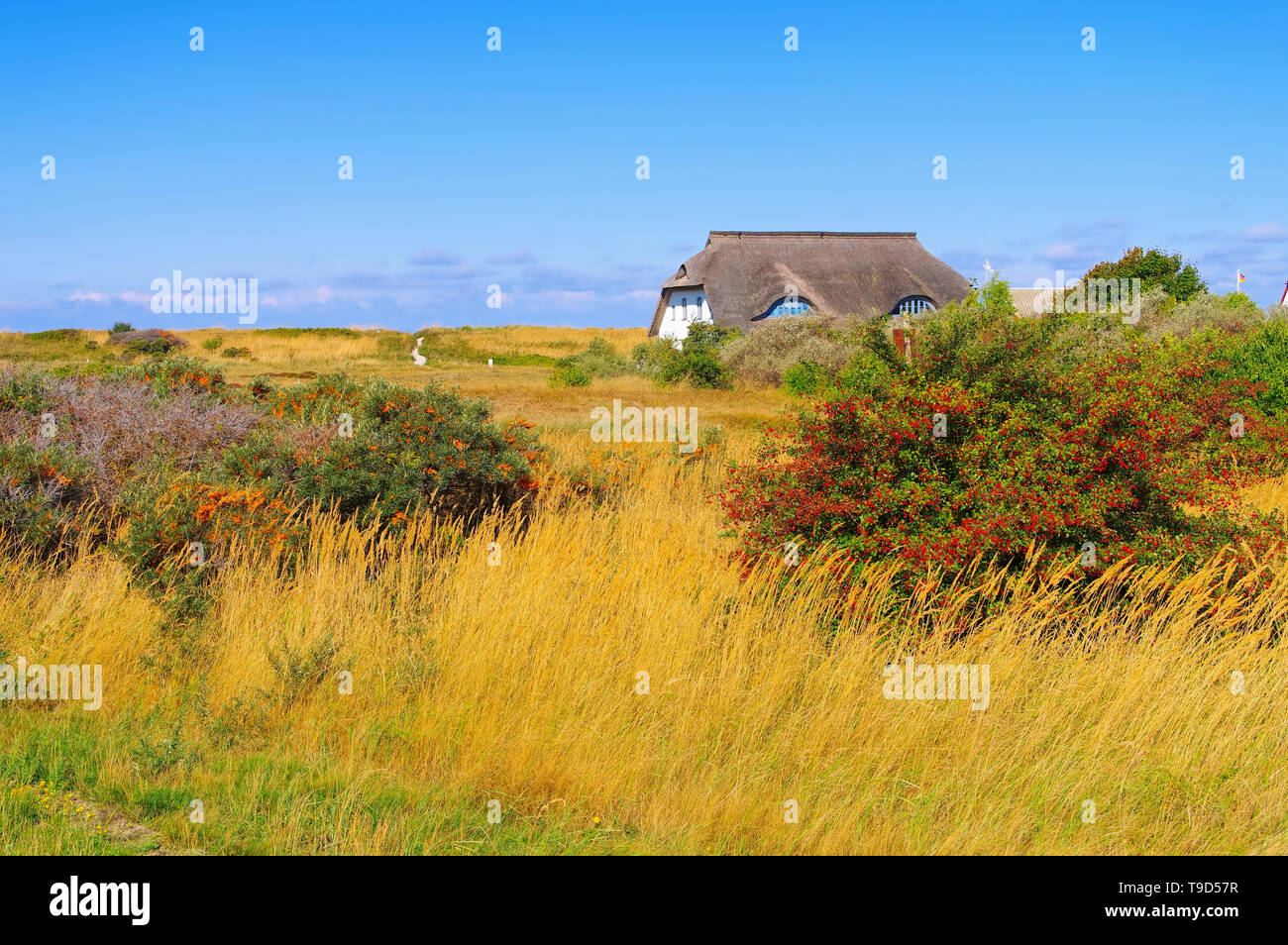 Die Insel Hiddensee, Haus in den Dünen, Deutschland Stockfoto