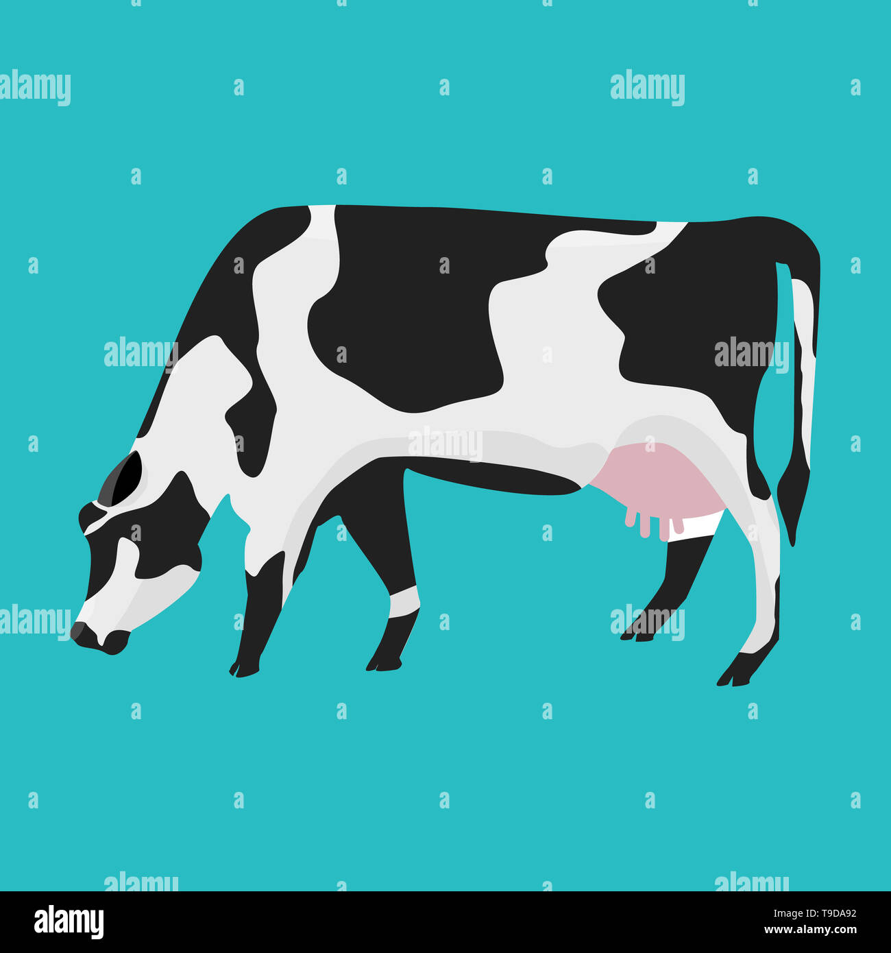 Weiße und schwarze Kuh mit Flach- und Farbe Design. Stockfoto