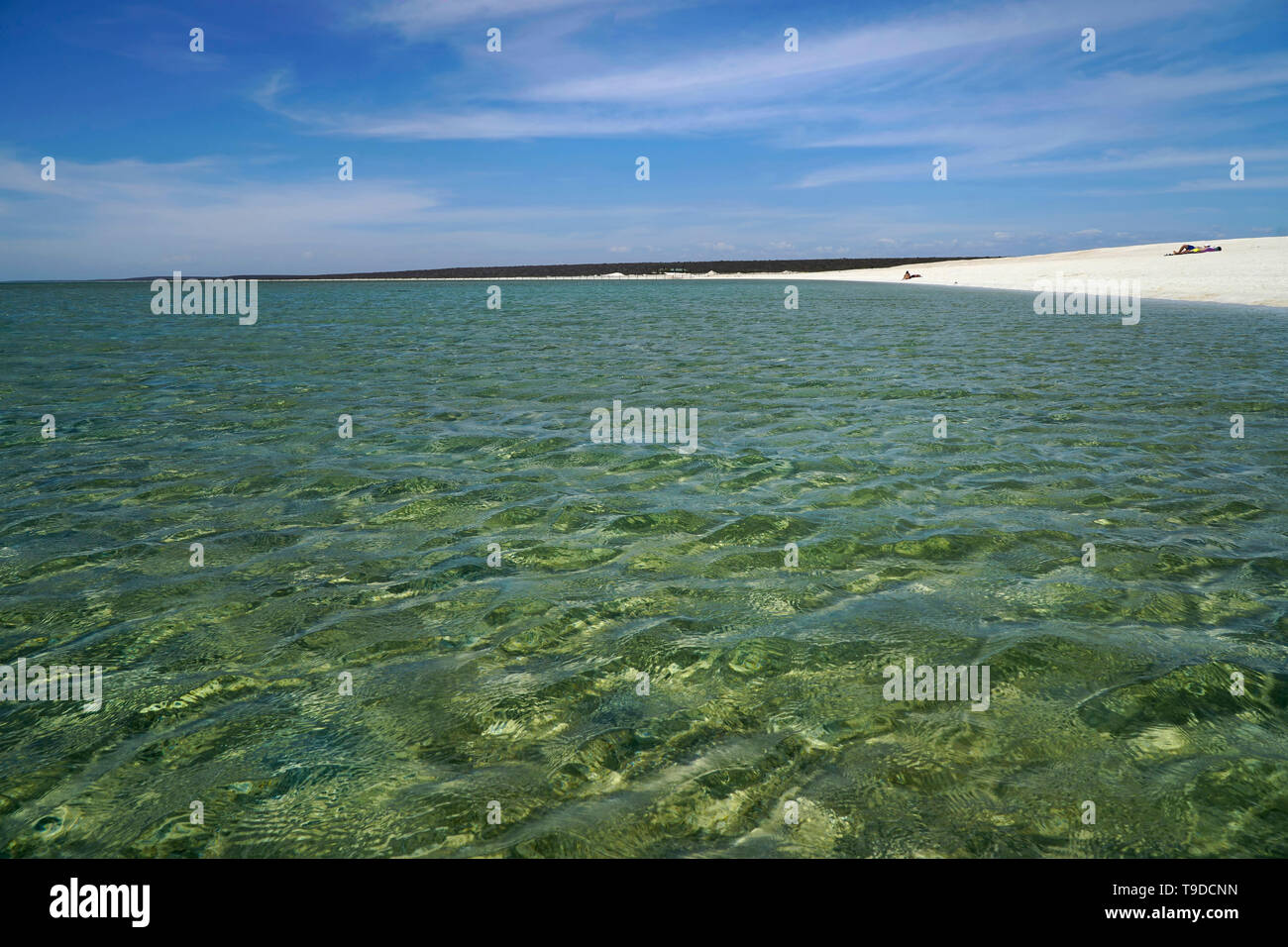 Langen schneeweißen Strand von aqua blau Ozean grenzt. Shell Beach ist einer von nur zwei shell Strände wie es in der Welt. Stockfoto