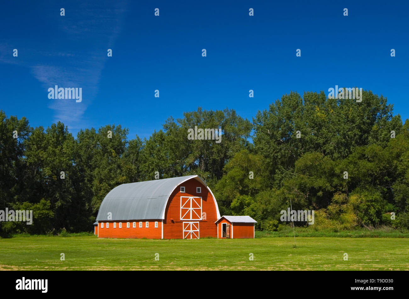 Red Barn Rathwell Manitoba Kanada Stockfoto