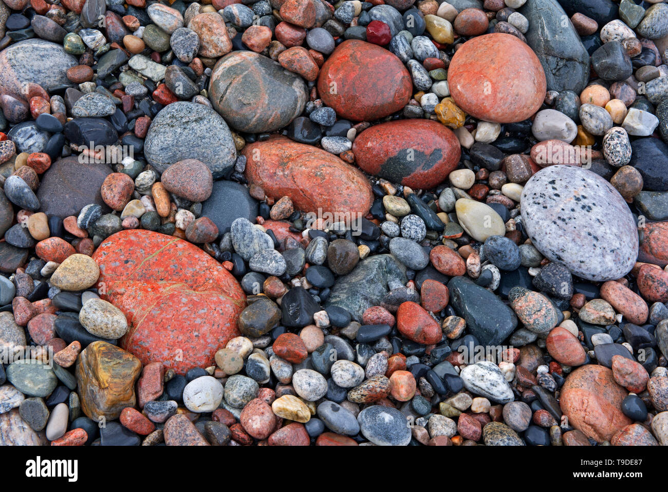 Felsen auf Pebble Beach Marathon Ontario Kanada Stockfoto