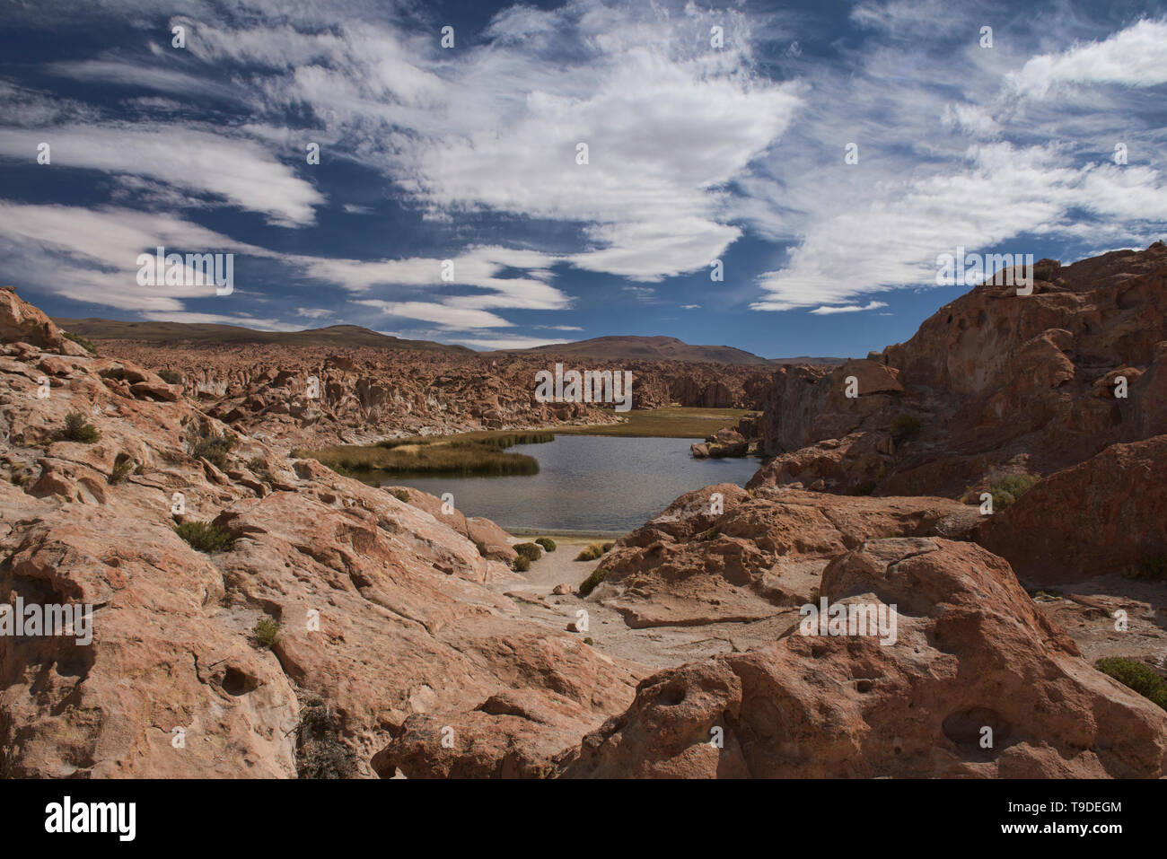 Versteckte Laguna Negra See und das Tal in der Salar de Uyuni, Bolivien Stockfoto