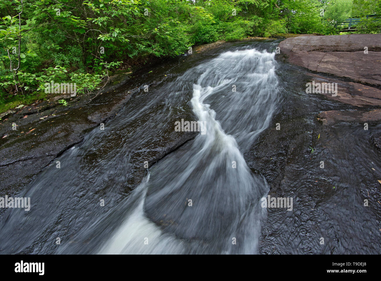 (Ruisseau) Bouchard Creek La Mauricie Nationalpark Quebec Kanada Stockfoto