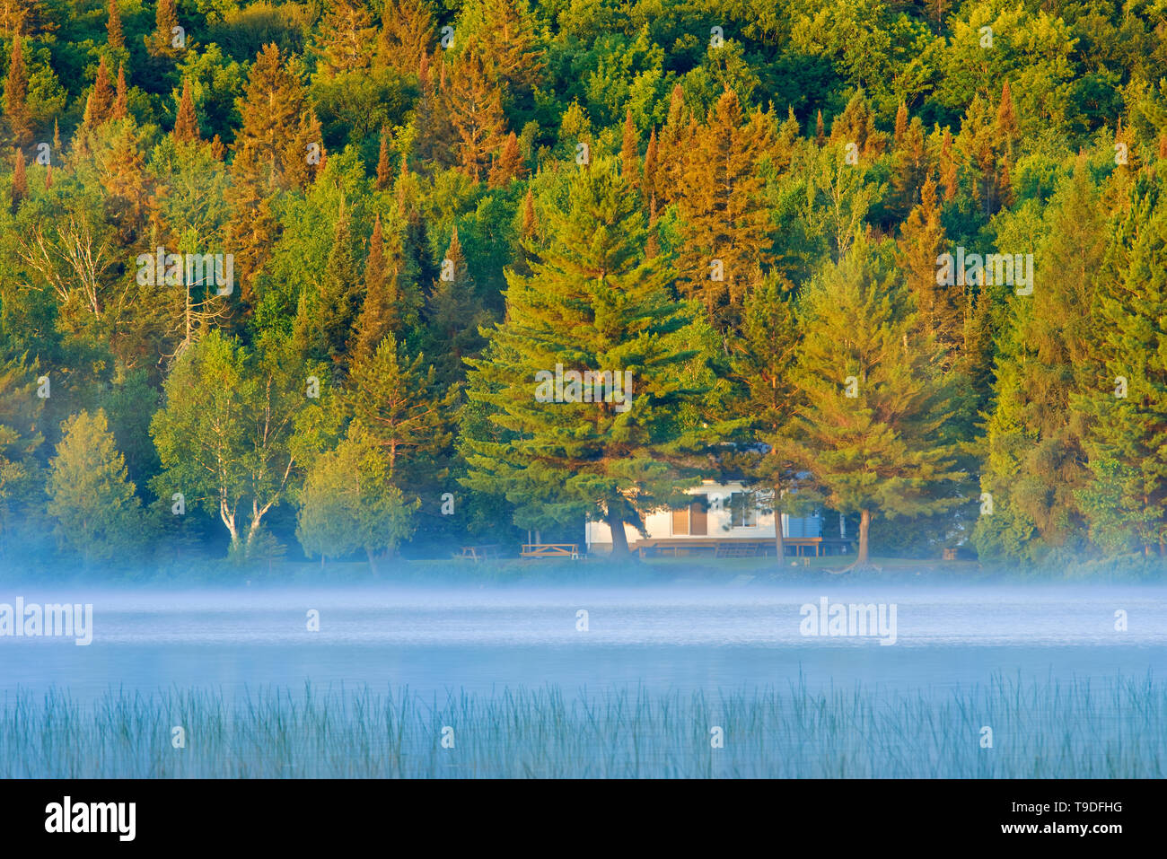 Ferienhaus leben, Lac des Sables, Belleterre, Quebec, Kanada Stockfoto Ferienhaus leben, Lac des Sables, Belleterre, Quebec, Kanada Stockfoto