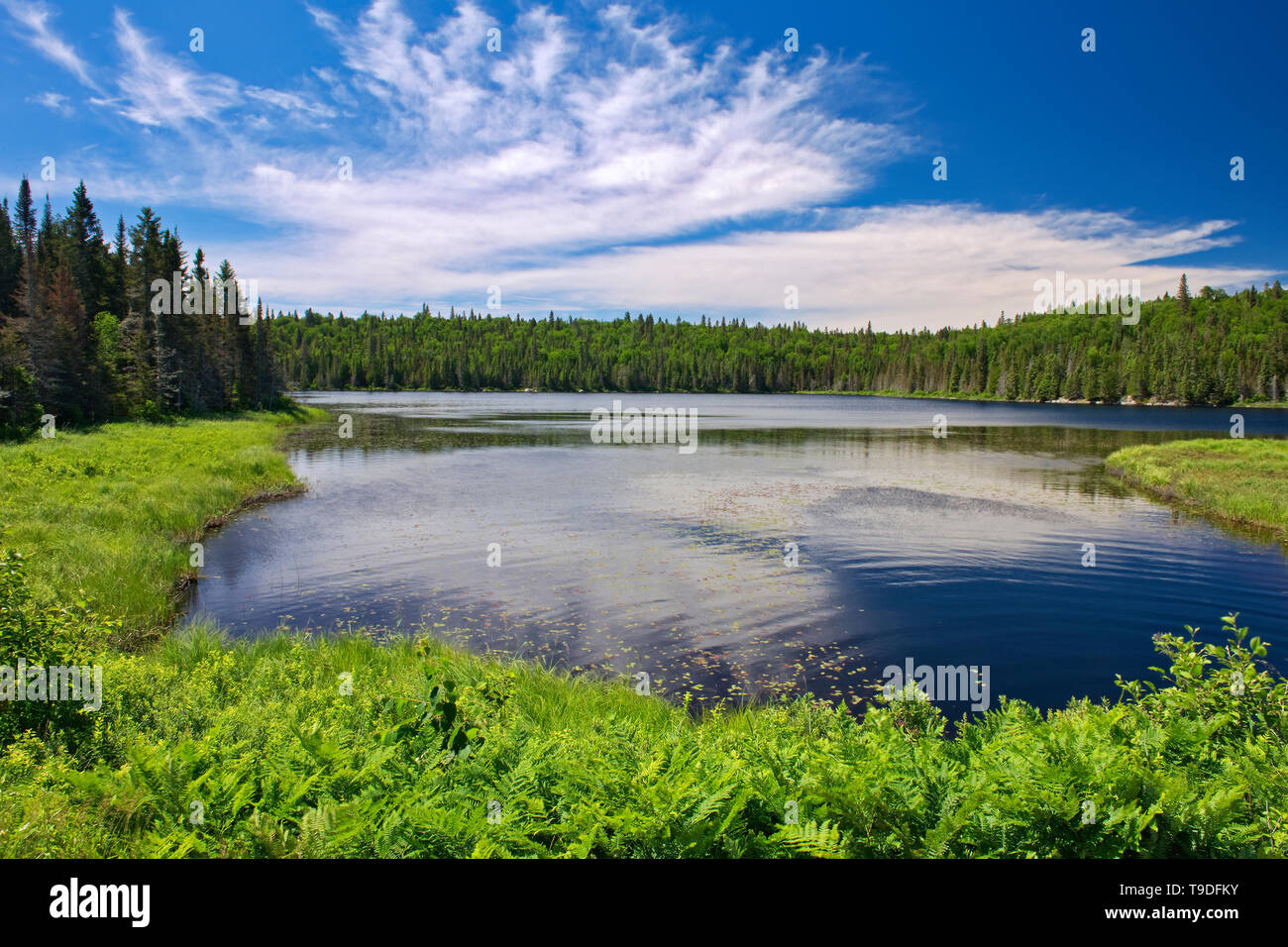 Wolken in Lac Gauvin, Belleterre, Quebec, Kanada wider Stockfoto Wolken in Lac Gauvin, Belleterre, Quebec, Kanada wider Stockfoto