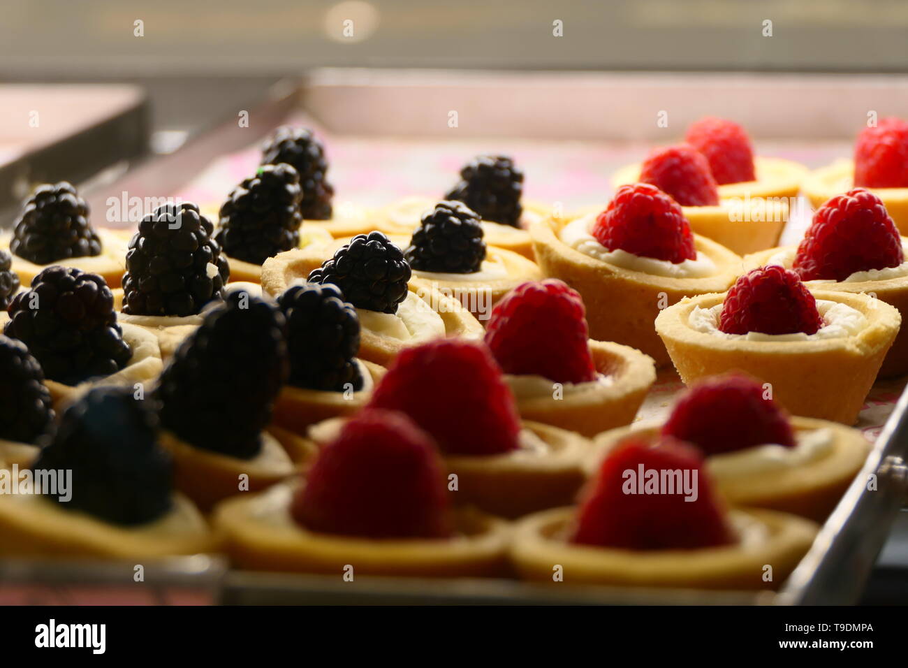 Himbeeren und Brombeeren auf Vanille pudding Teller serviert Stockfoto