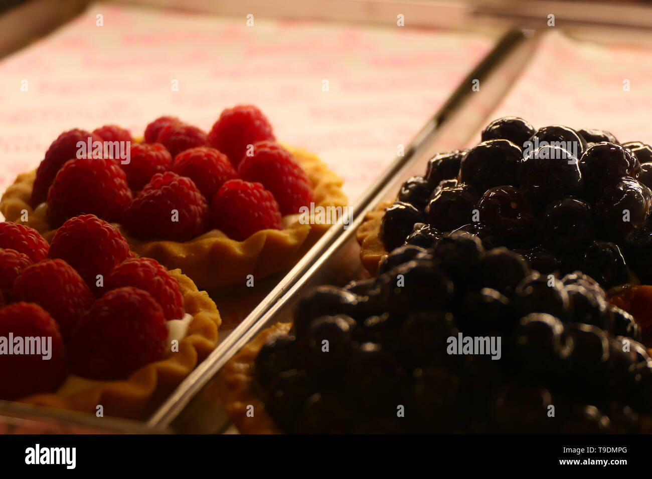 Heidelbeeren und Himbeeren auf Vanille pudding Teller serviert Stockfoto