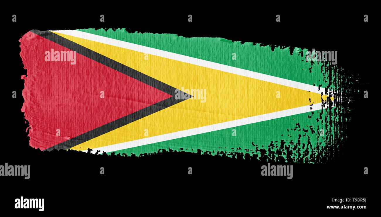 Pinselstrich Flagge Guyana Stockfoto