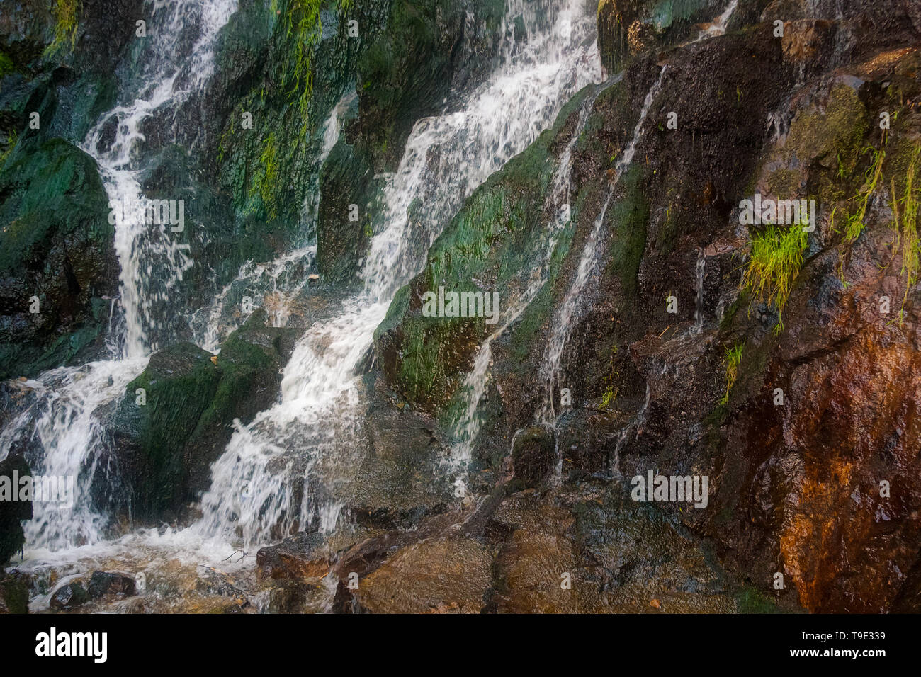 Schöne generische Wasserfälle Landschaft mit kopieren. Natur und Wasser Konzept. Hohwald Wasserfall Landschaft, Vogesen, Frankreich. Stockfoto