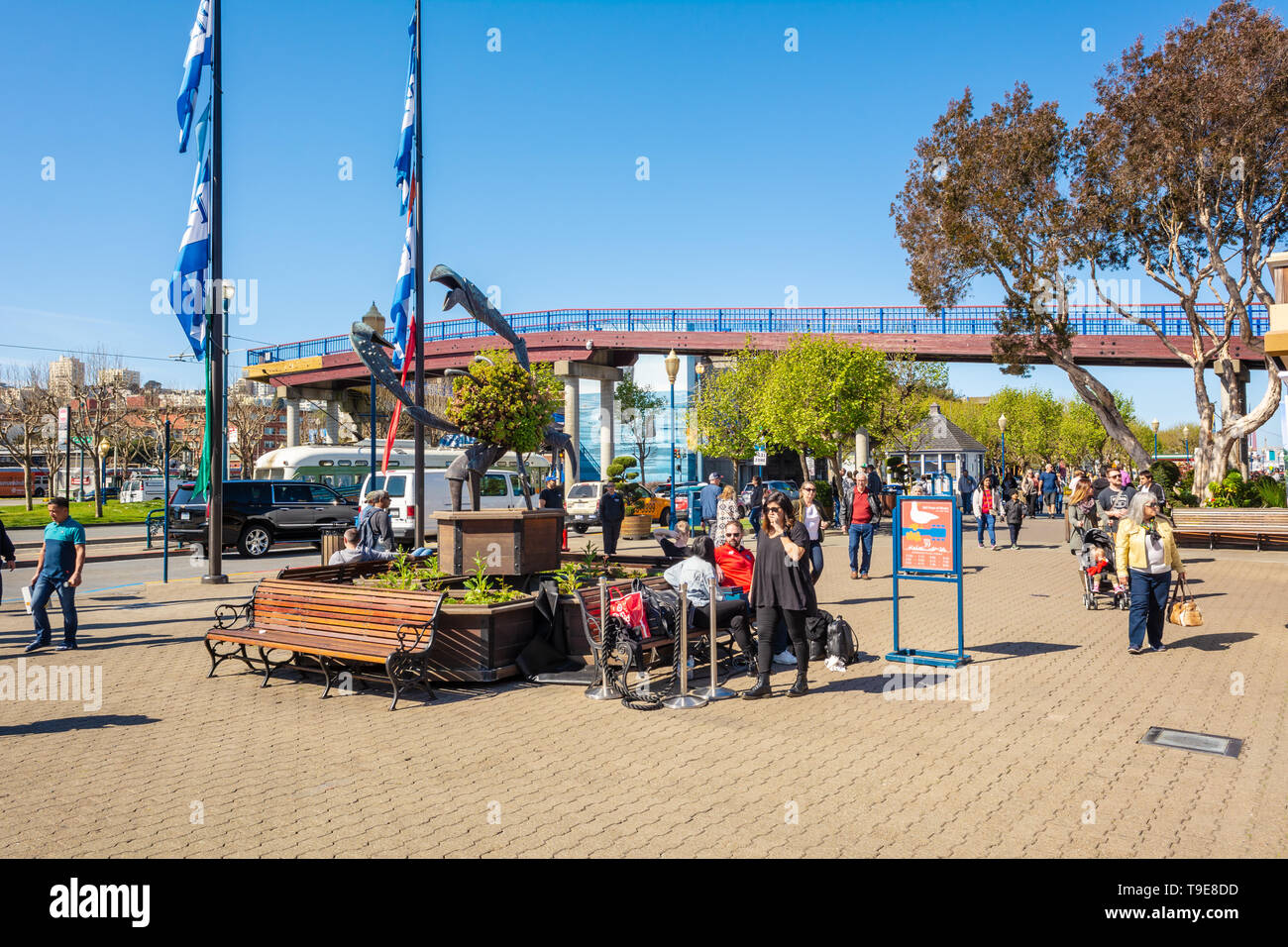 SAN FRANCISCO, USA - 30. März 2019: Touristen am Pier 39, Fisherman's Wharf. Pier 39 ist ein berühmtes Einkaufszentrum und beliebte Touristenattraktion in S Stockfoto