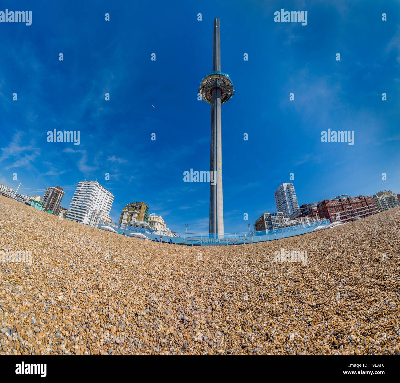 British Airways, i360, Tower, Brighton, direkt am Meer, Besucher Attraktion. Brighton, Sussex, England Panorama Stockfoto