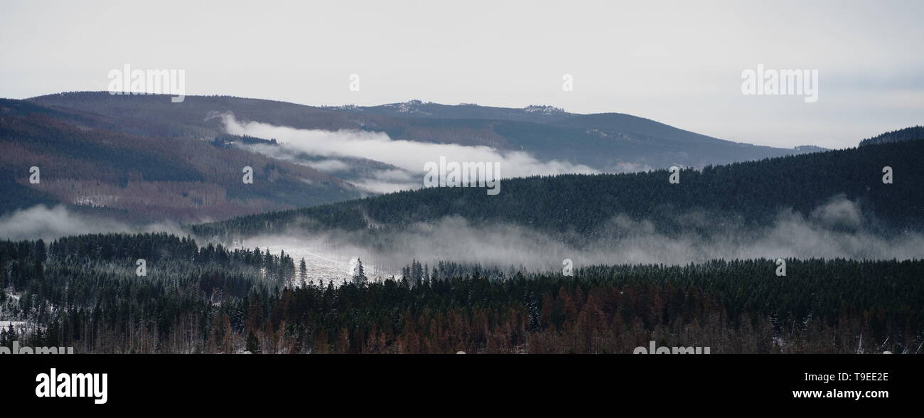 Nebel über dem Wald im späten Herbst. Mystische Landschaft Panorama der Wildnis im Harz, Harz National Park, Northern zentrale Deutschland. Stockfoto