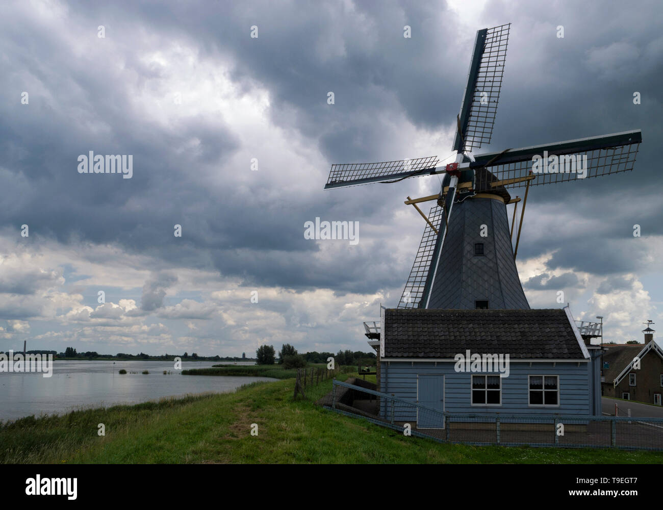 Windmühle de Liefde Stockfoto