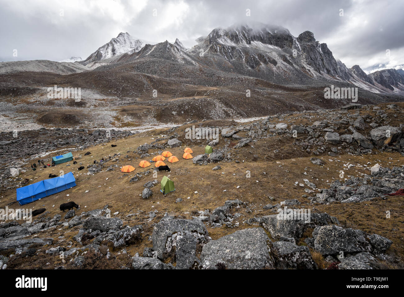 Biwak von Jichu Dramo, Wangdue Phodrang Bezirk, Snowman Trek, Bhutan Stockfoto
