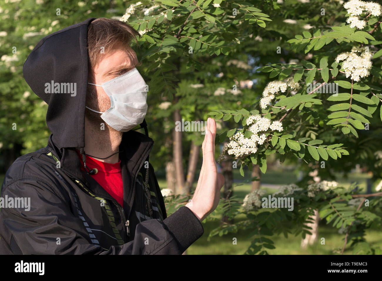 Mann in einem medizinischen Maske trägt einen schwarzen Haube zeigt Stop Geste an einem Baum Blumen. Health Care Konzept Stockfoto