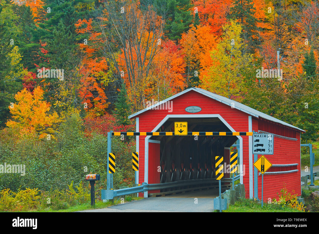 Überdachte Brücke (Pont Couvert) de Saint-Mathieu über den Shawinigan Fluss, herbstliche Farben, Große Seen - St. Lawrence Wald Region, Saint-Mathieu-du-Parc, Quebec, Kanada Stockfoto