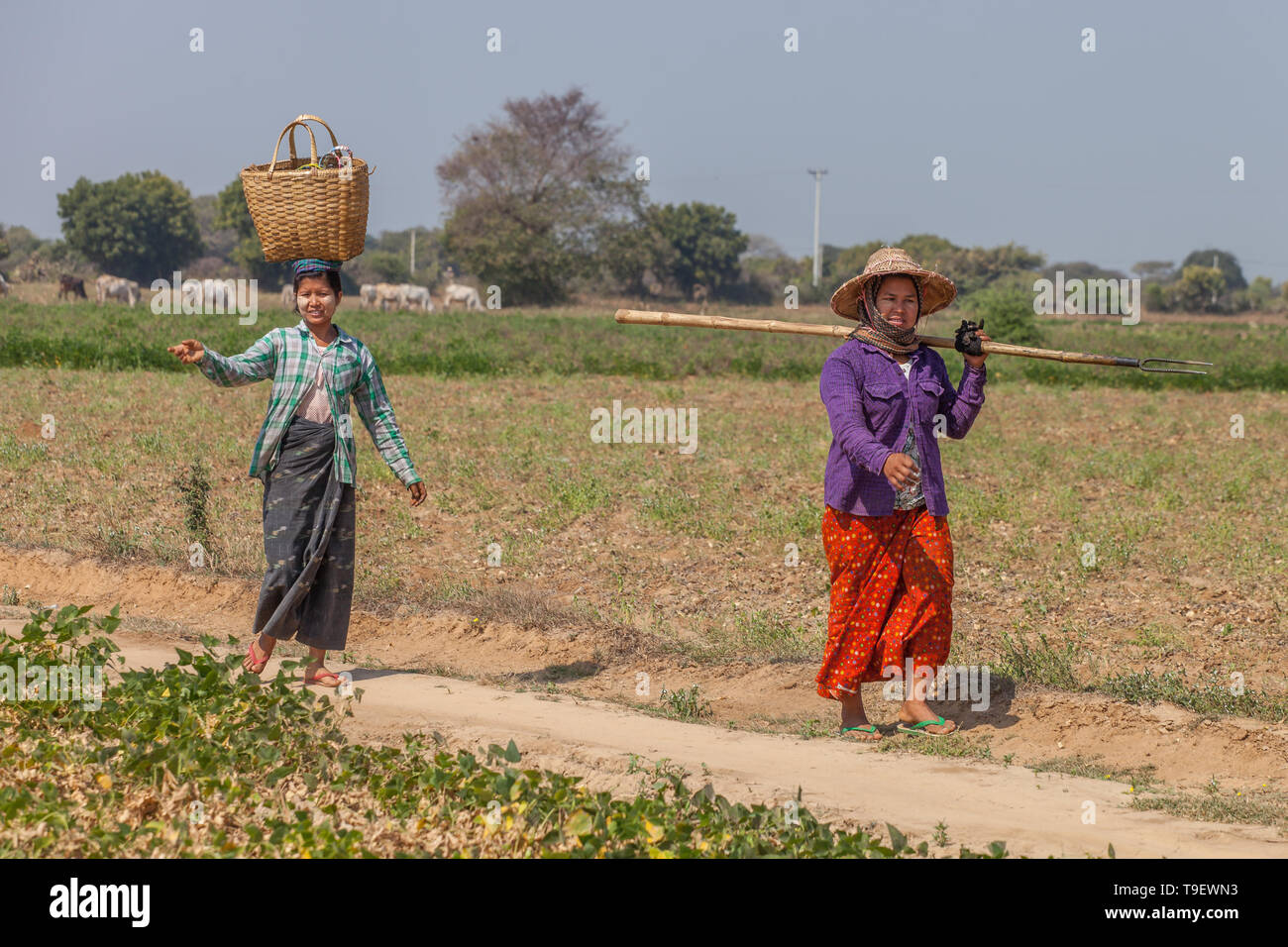 Burmesischen Bauern Stockfoto