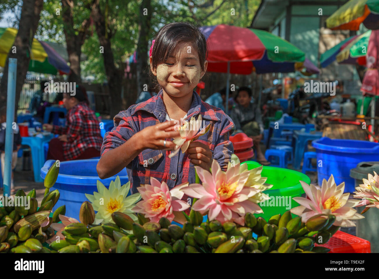 Junge Blume Verkäufer Stockfoto