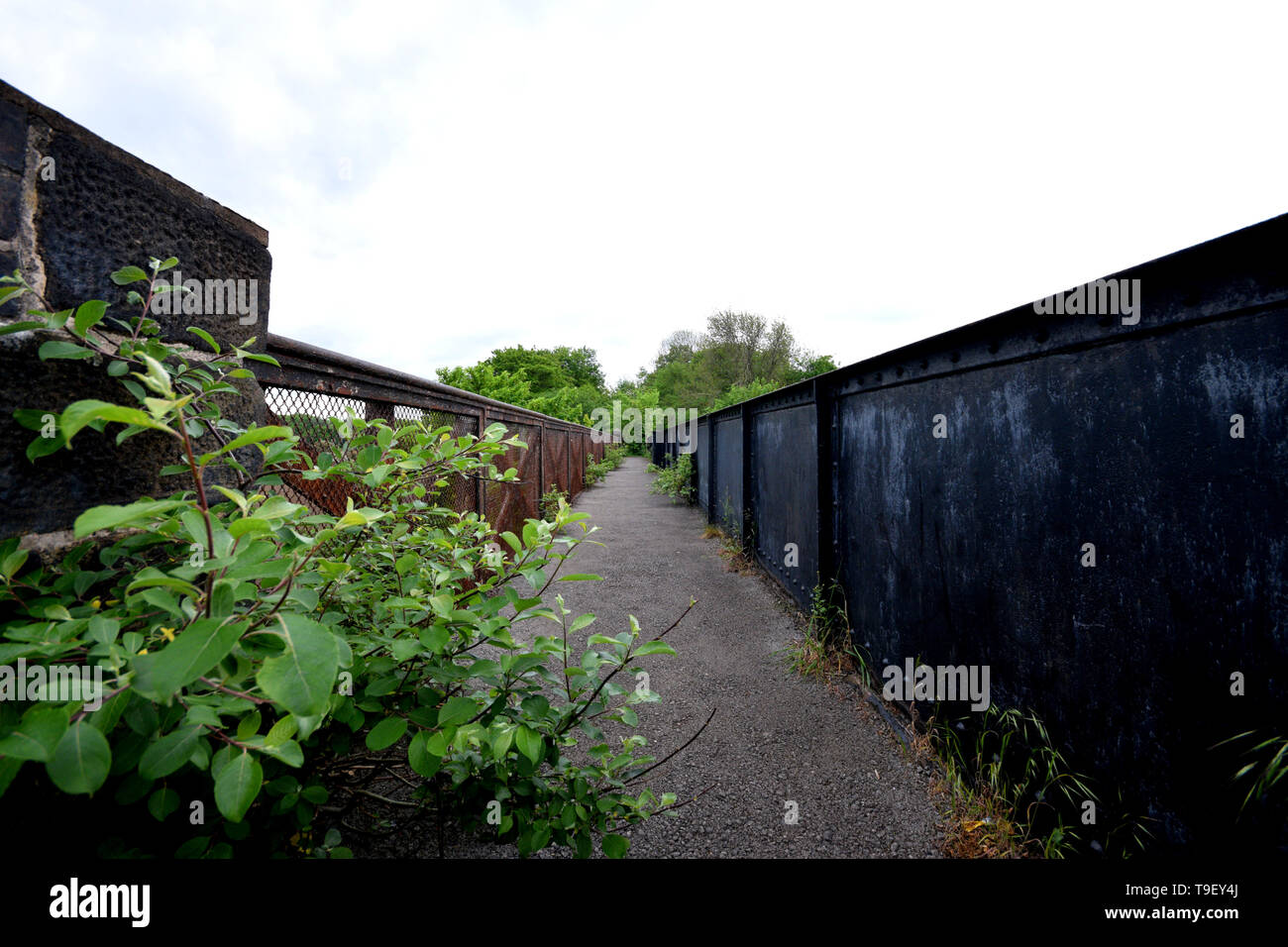 Wald Ruinen Stockfoto