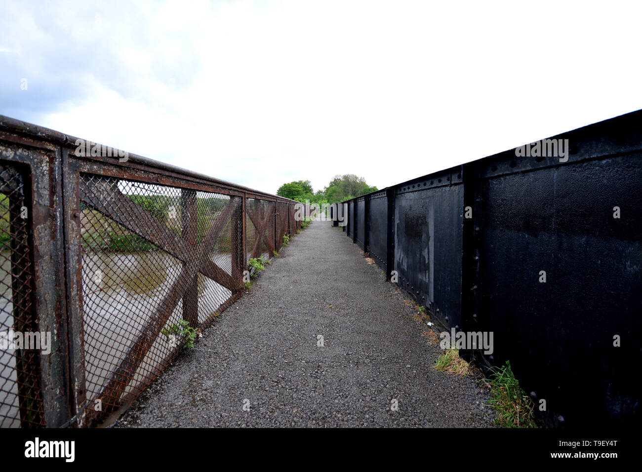 Wald Ruinen Stockfoto