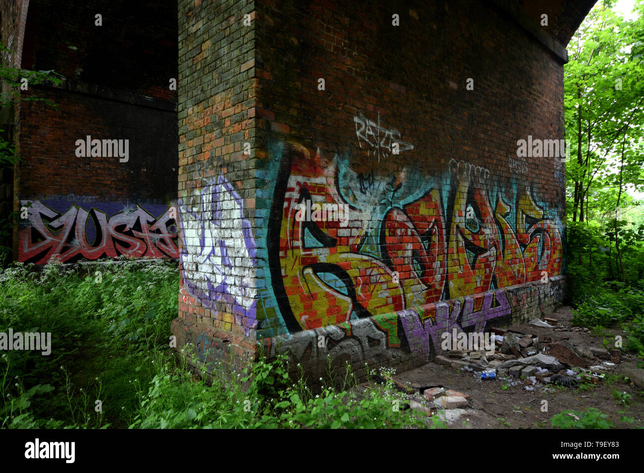 Wald Ruinen Stockfoto