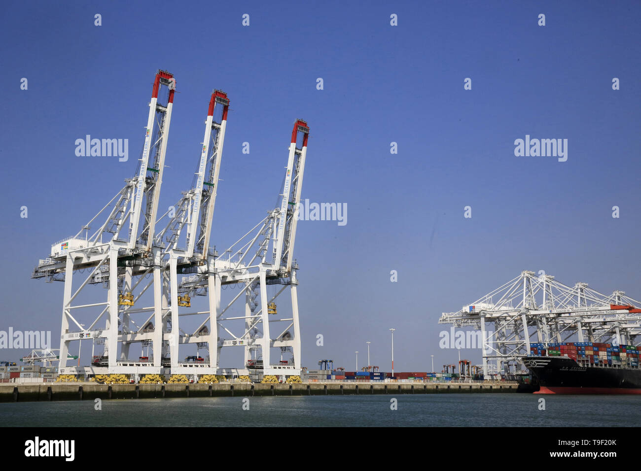 Container-Terminal. Le Havre. Stockfoto