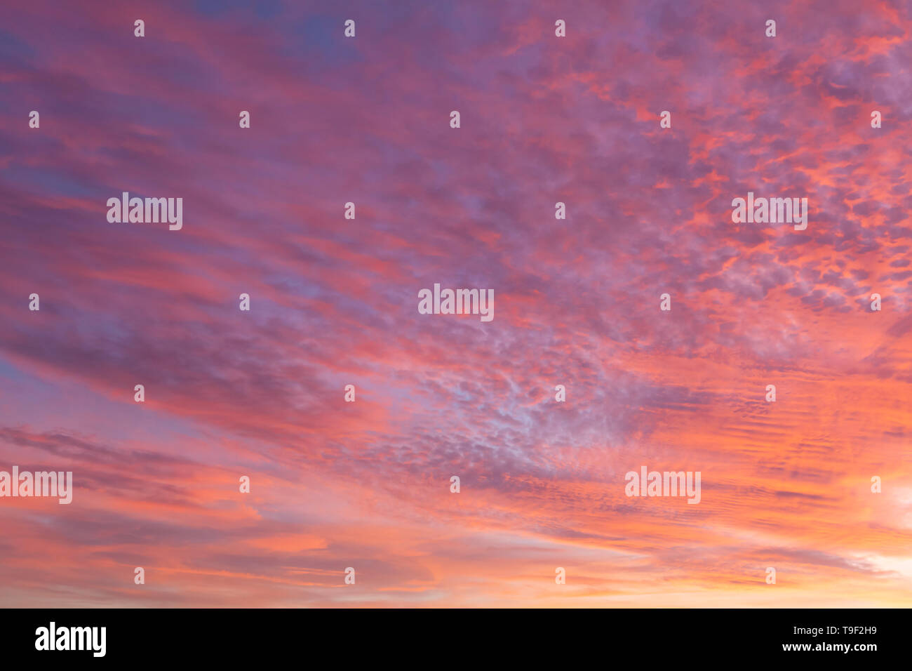 Sonnenuntergang rosa Himmel mit erstaunlichen rosa und rote Wolken. Stockfoto