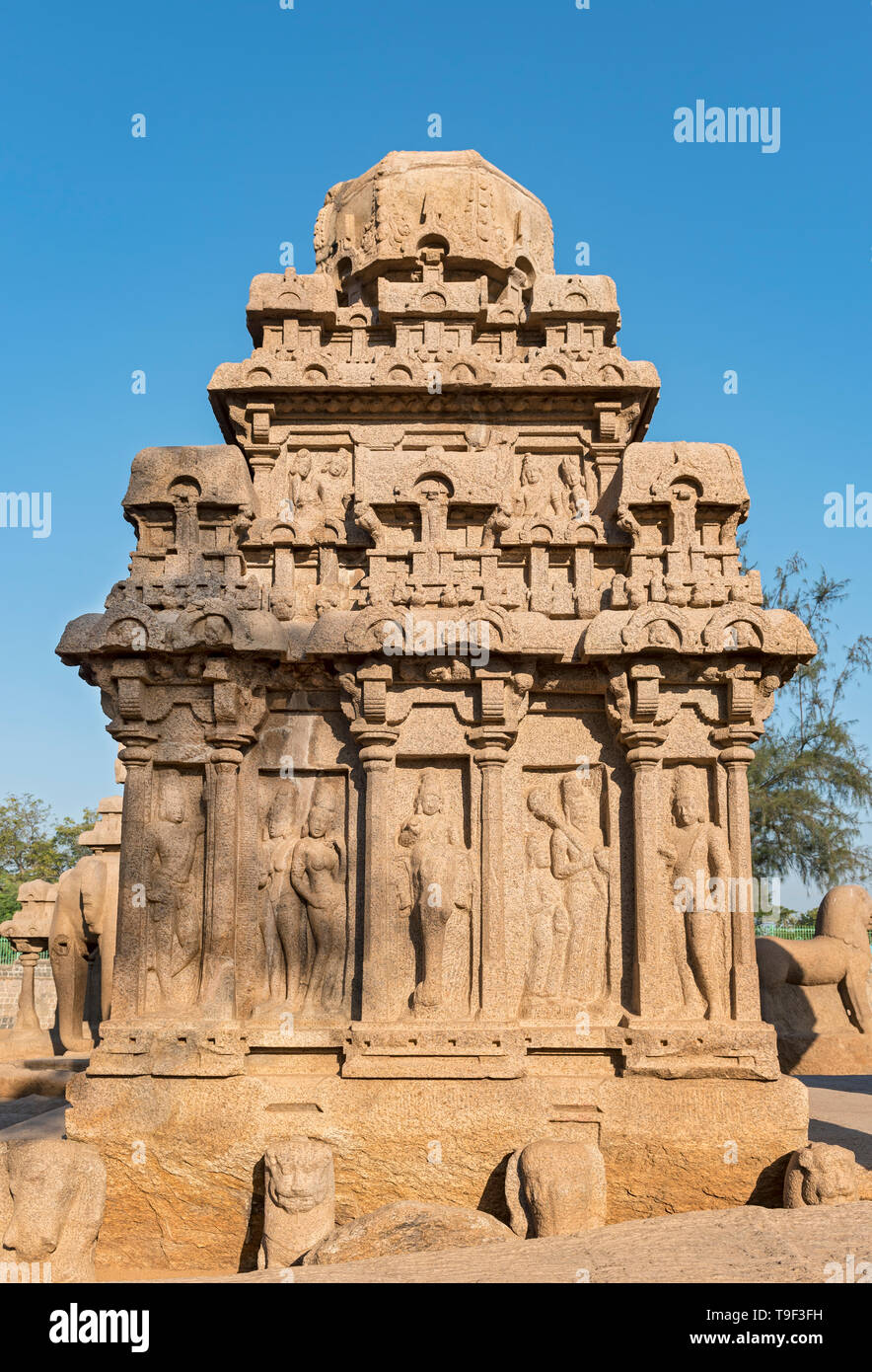 Arjuna Ratha Denkmal, Pancha Rathas (fünf Rathas), Mahabalipuram (mamallapuram), Indien Stockfoto