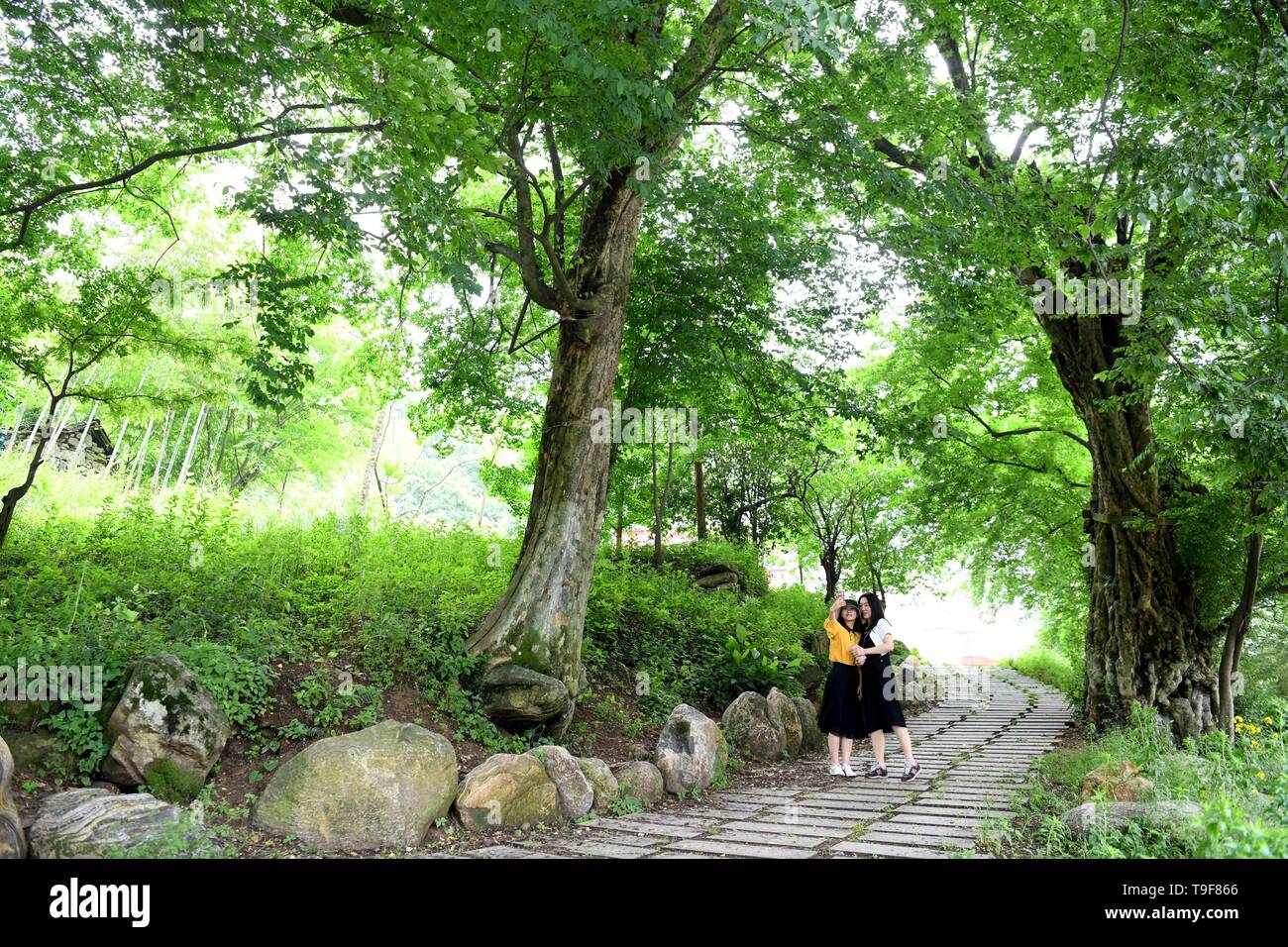 Jinzhai, Anhui Chinas Provinz. 18 Mai, 2019. Zwei Frauen nehmen an selfies Dawan Dorf Huashi County im Jinzhai County, der ostchinesischen Provinz Anhui, 18. Mai 2019. In den letzten Jahren, Dawan Dorf hat in die Entwicklung von Kaffee Industrie und Tourismus in ländlichen Gebieten begangen worden, als eine Möglichkeit, das Einkommen der Landwirte zu erhöhen. Im Jahr 2018 wurde das Dorf hob sich selbst aus der Armut. Credit: Liu Junxi/Xinhua/Alamy leben Nachrichten Stockfoto