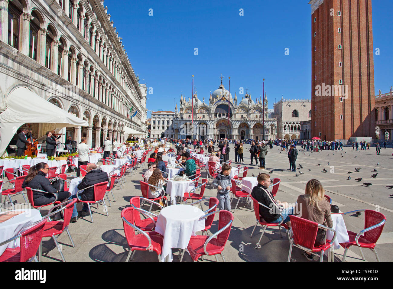 Der berühmte Markusplatz Stockfoto