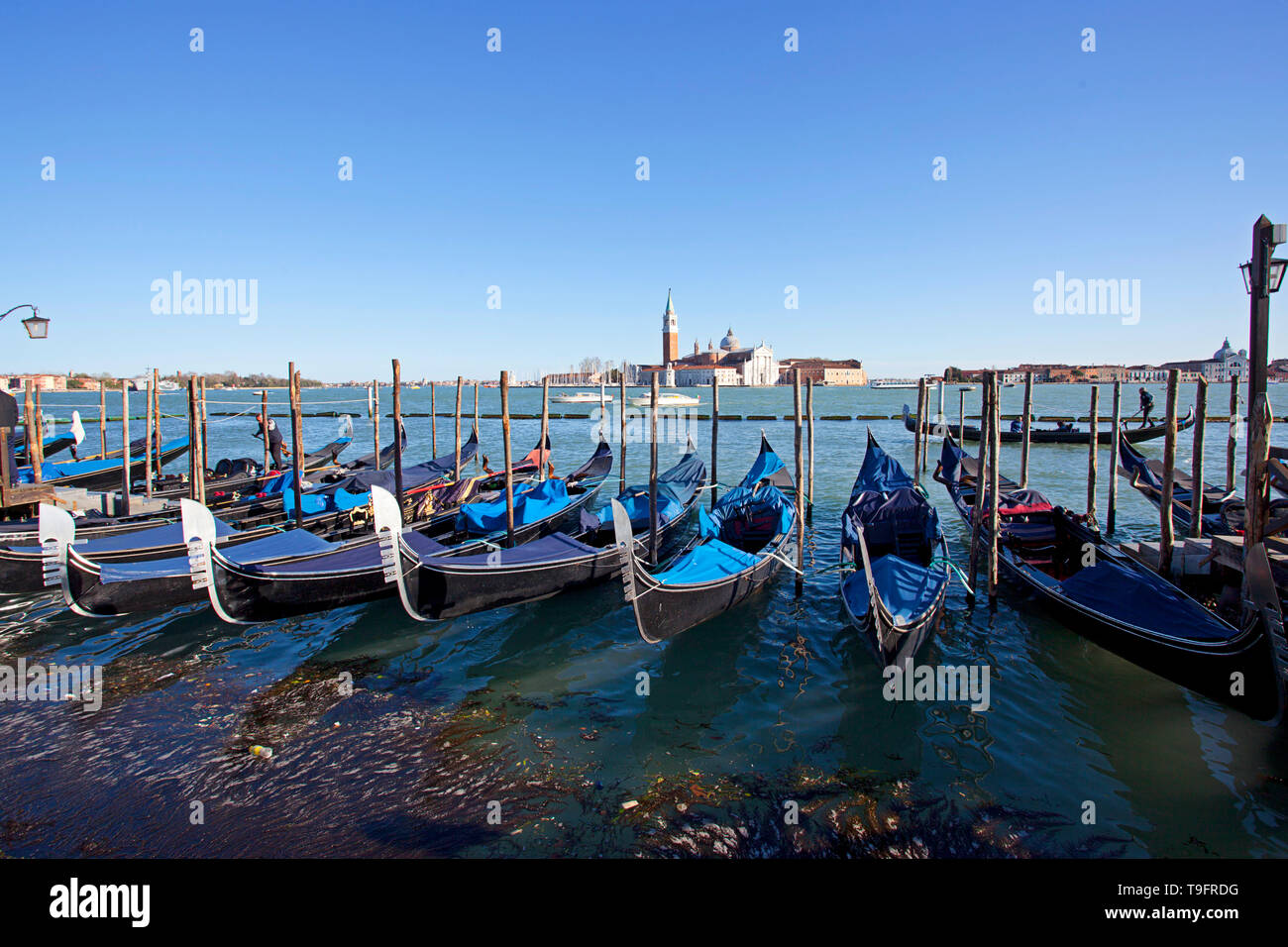 Gondeln, Venedig, Italien Stockfoto