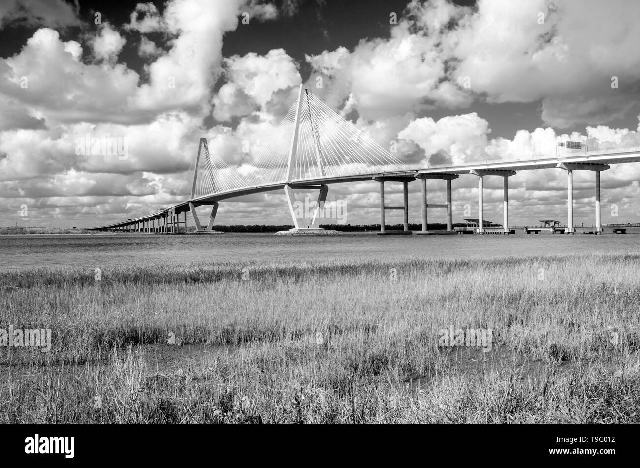 Cooper River Bridge, Charleston, South Carolina Stockfoto